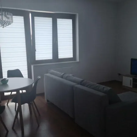 公寓 Apartament Przy Aquaparku