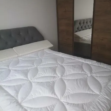 公寓 Apartament Przy Aquaparku 拉多姆